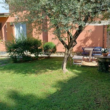 A Casa Di Berta Apartment Pietrasanta Ngoại thất bức ảnh